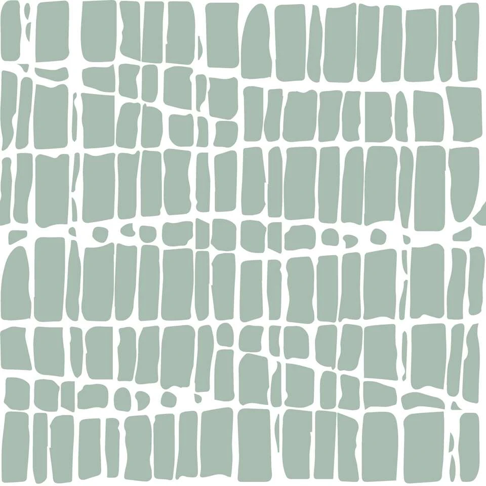 Mistral Home Dekbedovertrek 100% Katoen Flanel Crocodilia 260x240 Cm 5 Mistral Home Dekbedovertrek 100% Katoen Flanel Crocodilia 260x240 Cm - Afbeelding 3