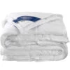 De Witte Lietaer Dekbed Ducky 4 Seasons - 240 X 220 Cm - Donsvulling -Knusse Nacht 1122388981