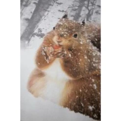 Papillon Milou Dekbedovertrek - 240x200/220 Cm - Multikleur -Knusse Nacht 1195861761 0102