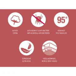 Mistral Home Matrasbeschermer Molton - 100% Katoen - 180x200x27 Cm -Knusse Nacht 1993656534 0101