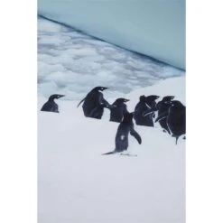 Ambiante Dekbedovertrek Poul - Grijs - 200x200/220 Cm -Knusse Nacht 81020021 0010