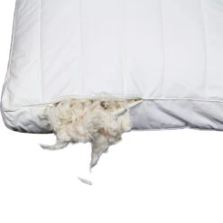 Polydaun Hoofdkussen First Kapok - 60x50 Cm 8 Polydaun Hoofdkussen First Kapok - 60x50 Cm -Knusse Nacht 81024519 9000