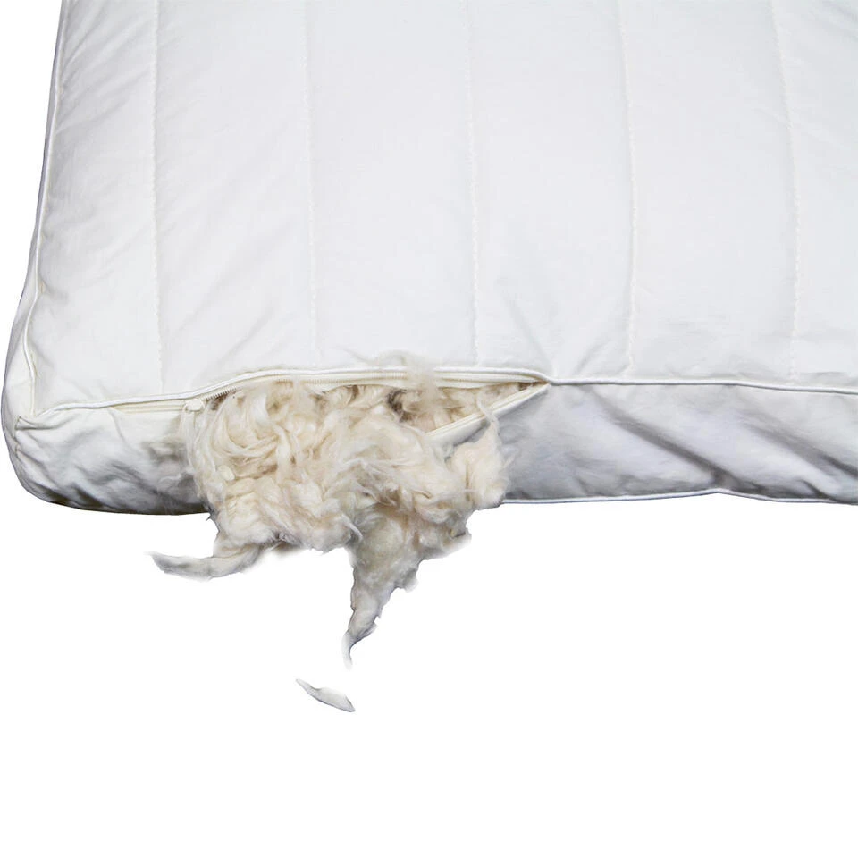 Polydaun Hoofdkussen First Kapok - 60x50 Cm 5 Polydaun Hoofdkussen First Kapok - 60x50 Cm - Afbeelding 3